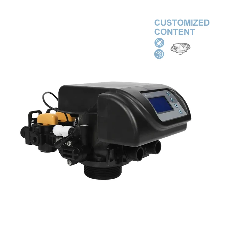 2000L/H Automatic Water softener and filtration PPO AUTOMATIC control Valve 											for filters and softeners