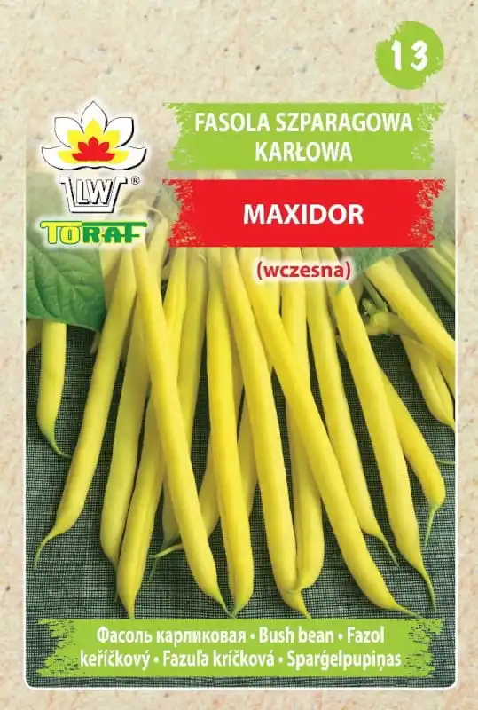 Maxidor-granos de espárragos, semillas de frijol vegetal TORAF, 30g