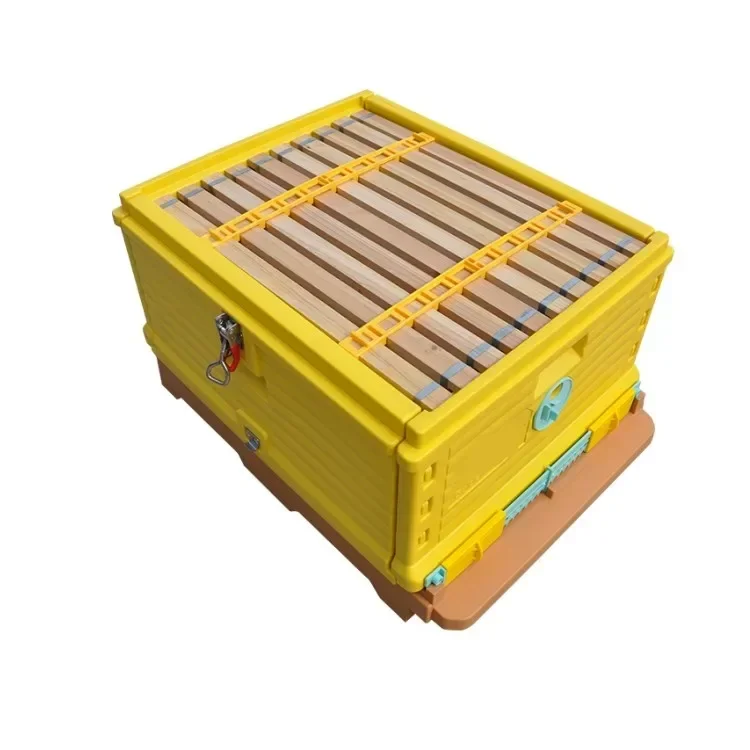 

Заводское массовое производство Китай производство пластиковых пчелиных ящиков Улей