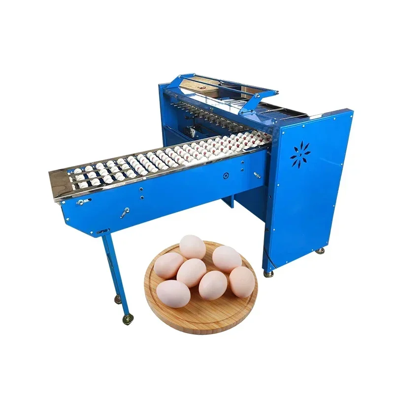 5400 Pieces/hr Chicken Egg Weight Classifier / Egg Grading Packing Machine / Egg Sorter