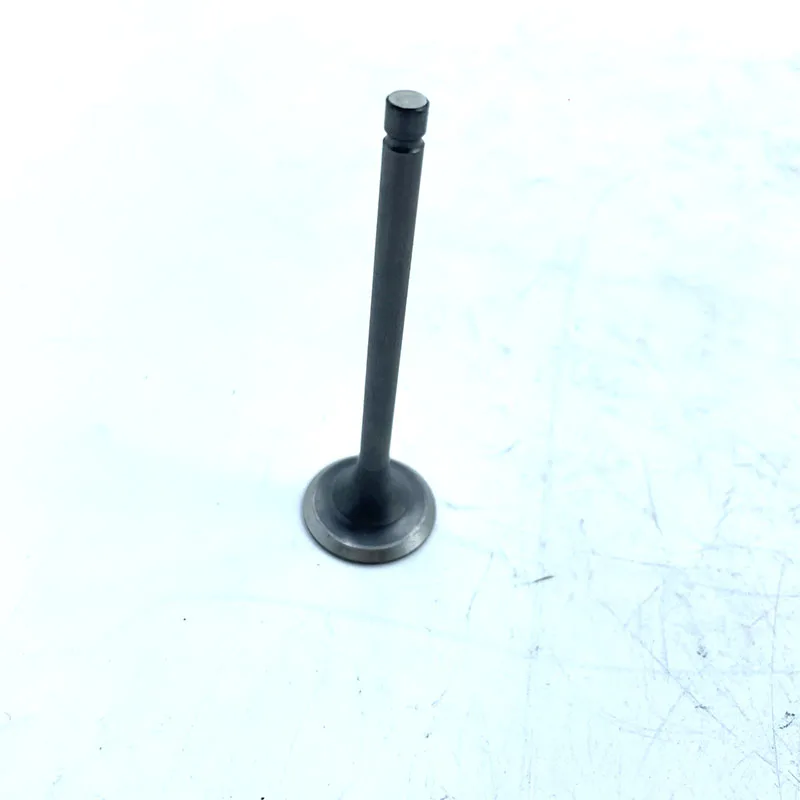 BUYANG 300 D300 H300 G300 ENGINE EXHAUST VALVE 2.1.01.0450