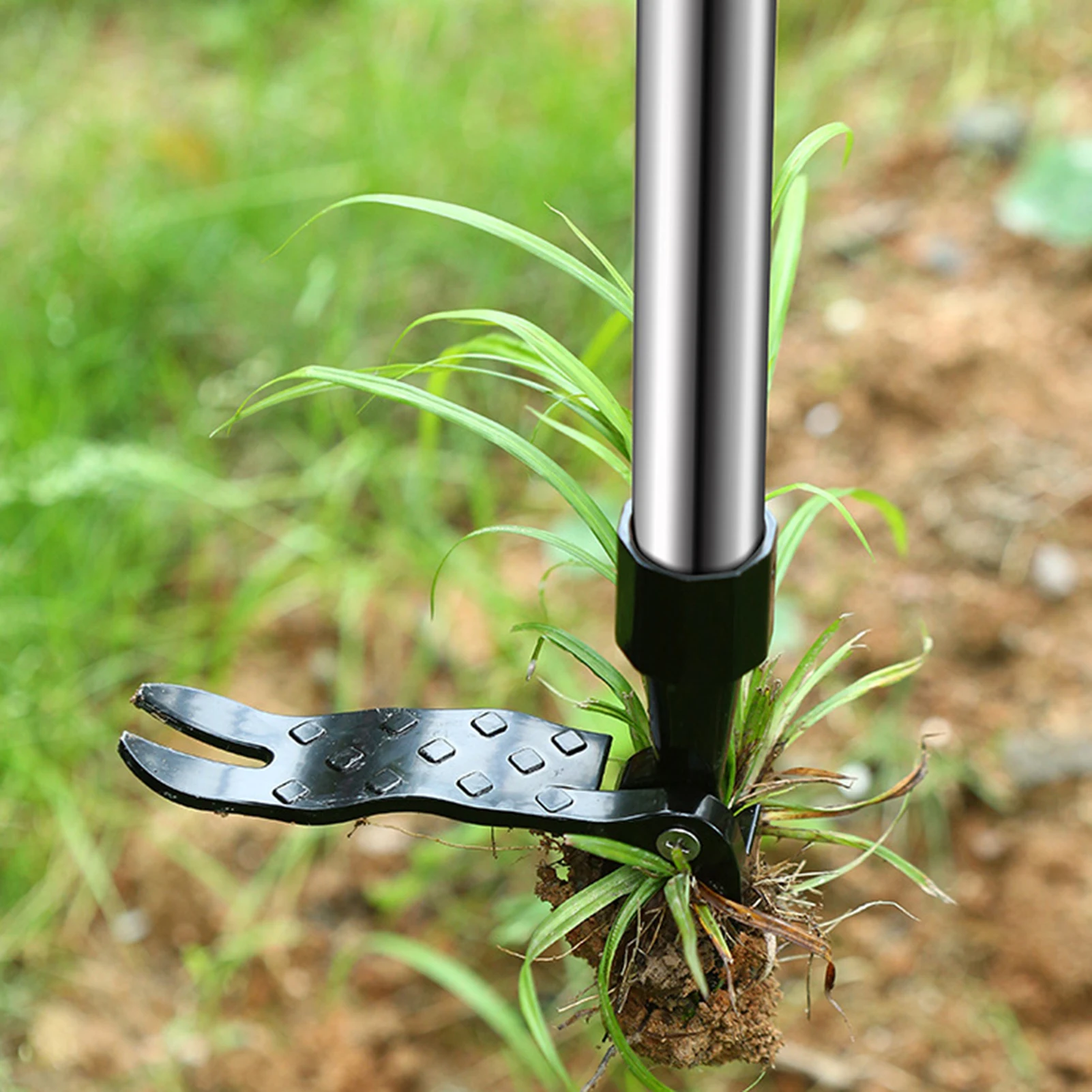 أداة إزالة الأعشاب الضارة متعد - مراجعة Weed Puller وسعره