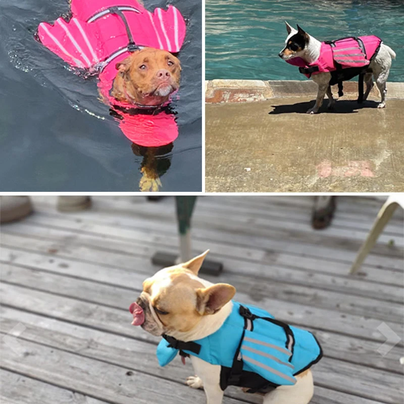 Thumbnail 4 - #7 Dog Life Jackets Comparison Guide