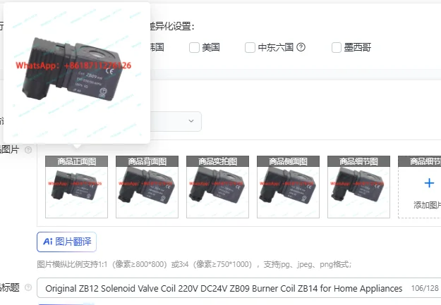 Original ZB12 Solenoid Valve Coil 220V DC24V ZB09 Burner Coil ZB14 for Home Appliances - HVAC Control Part