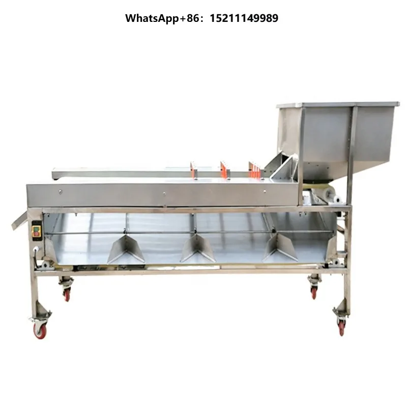 High Efficiency  Citrus Onion Selector Precision Conveyor Belt Fruit Grader Equipment