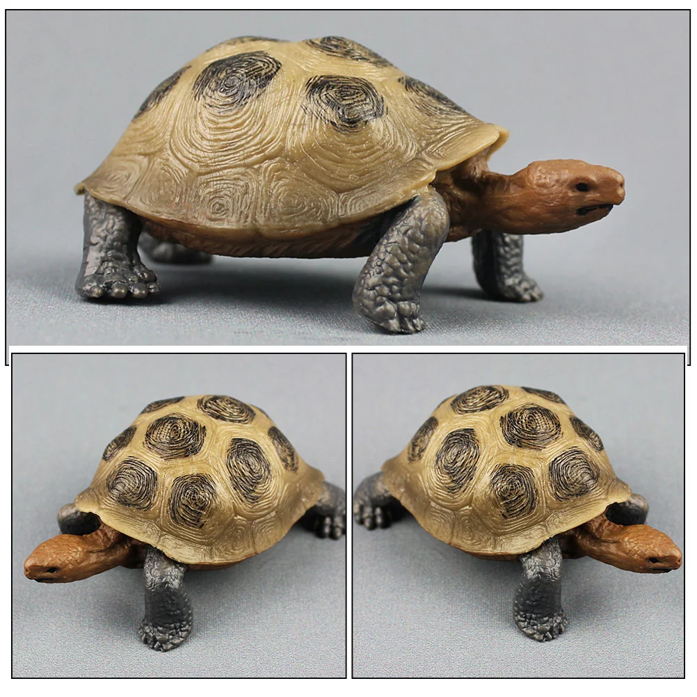 Simulation Turtle Land Tortoise Model Ocean Animals Accessories Ornament Pvc Decorations Vivid Shape