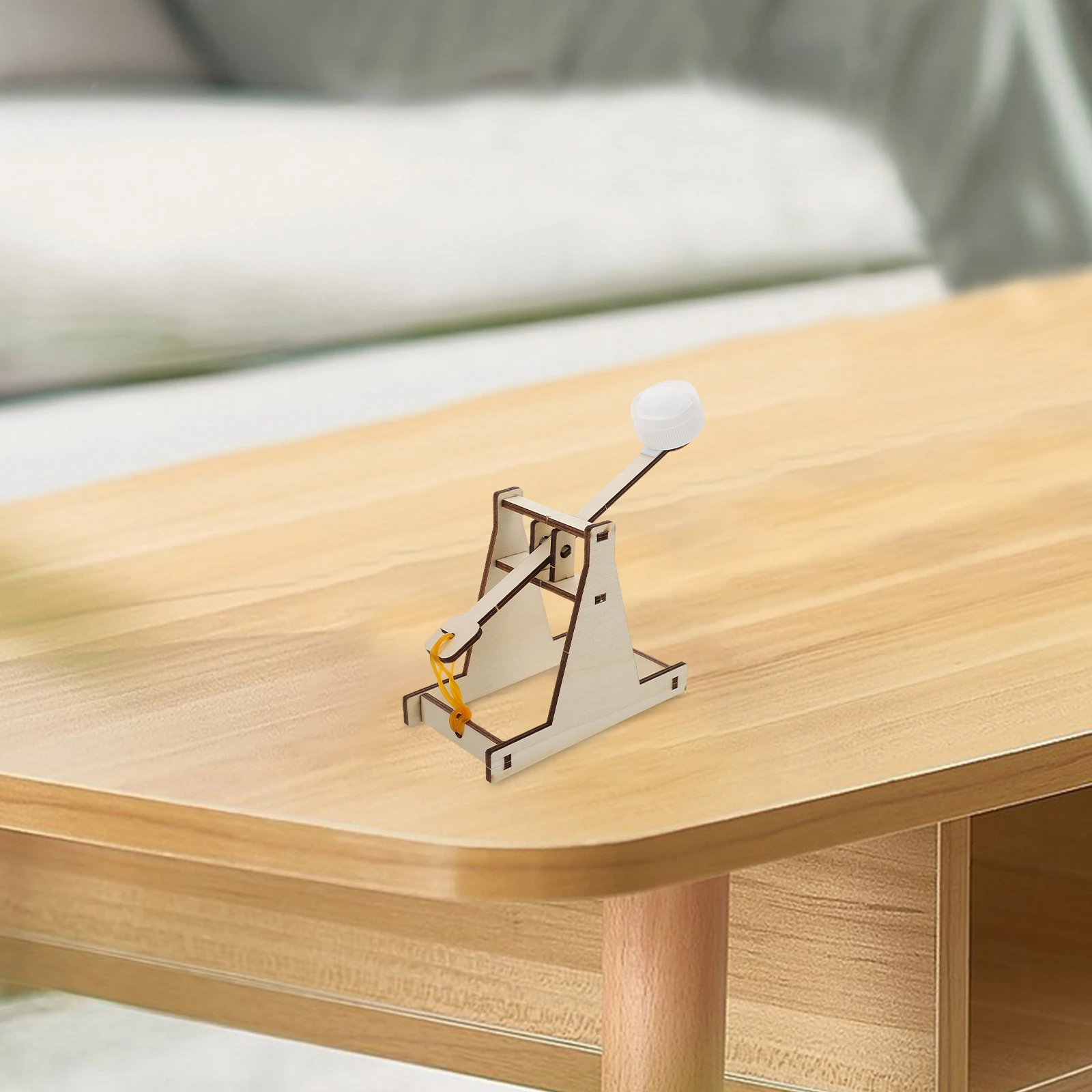 Wood Catapult Building Kit Stem Activity for Children Hands on Physics Experiment DIY Assembly Educational Craft for Young