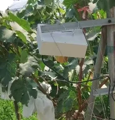 

Wholesale Powerful Bird Repeller for Air Port Fruits Farm