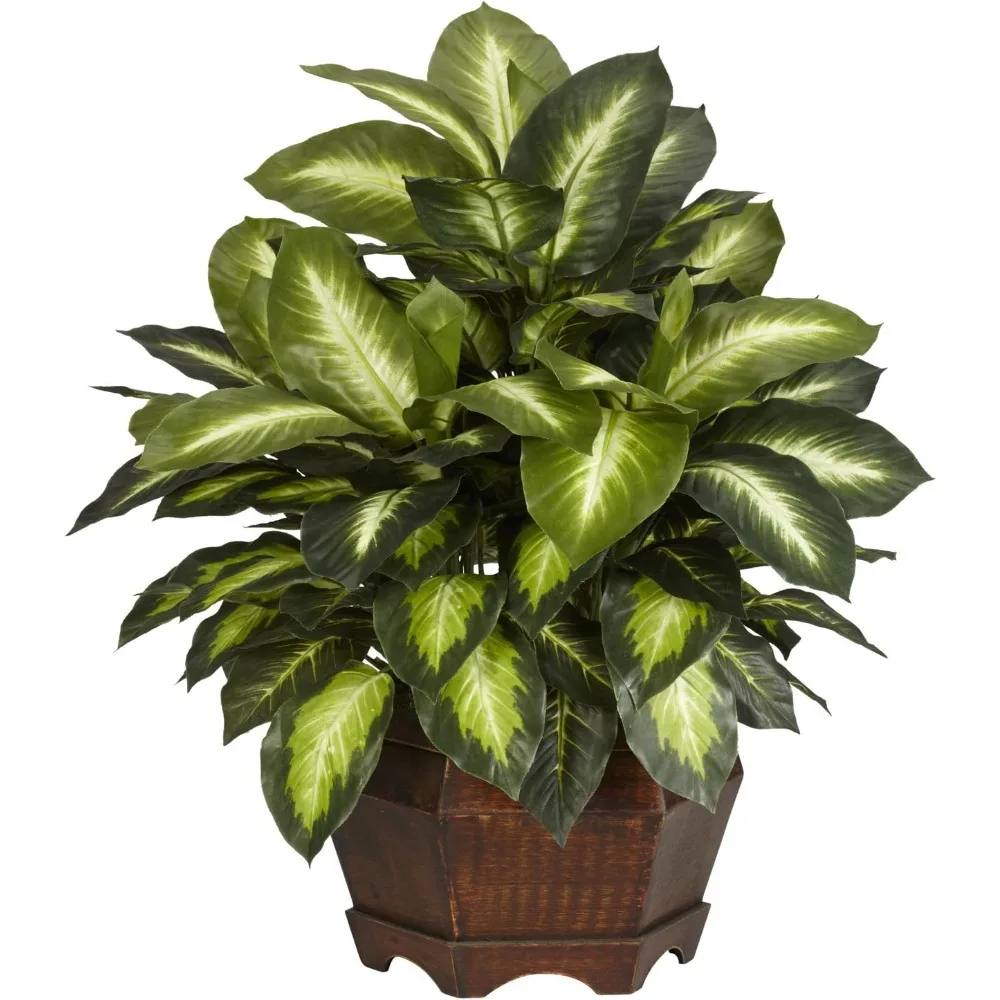 24in. Golden Dieffenbachia Silk Plant, Green