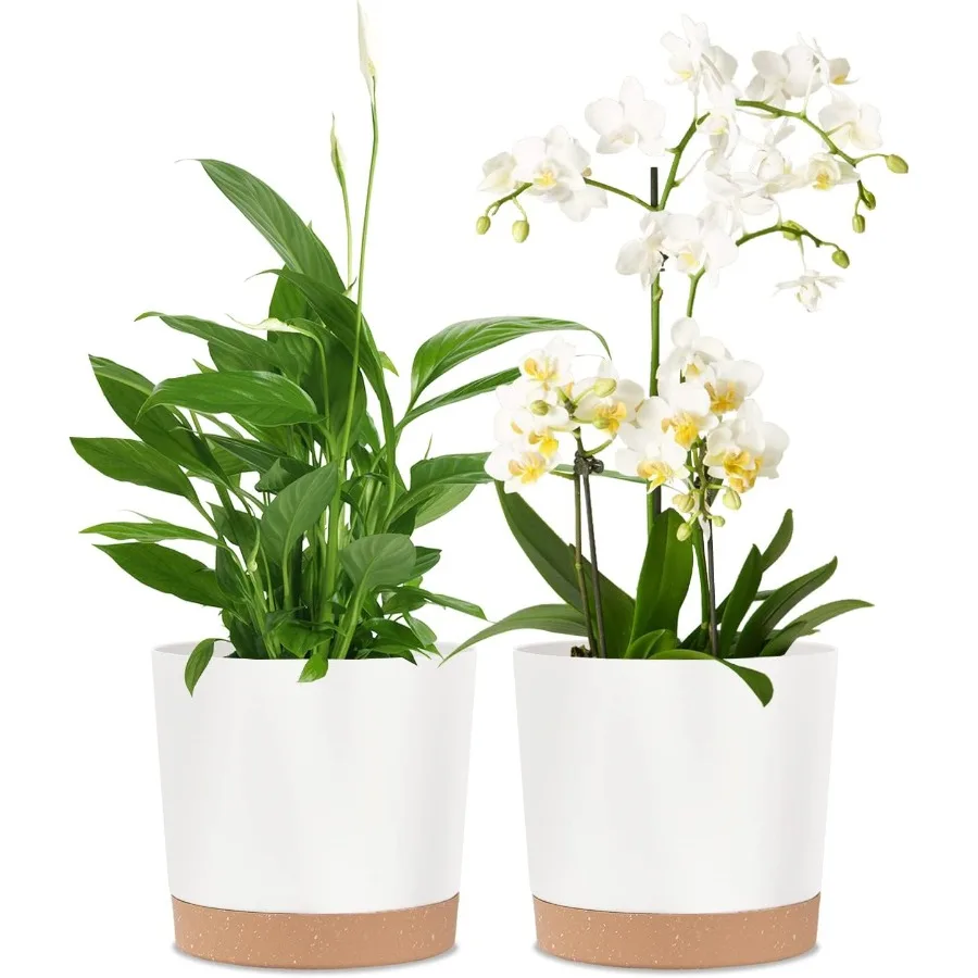 

2 Pack 8 Inch Planters for Indoor Plants Plastic Flower Pots Plant Pots Indoor with Drainage Saucer for Outdoor Garden Home Pla