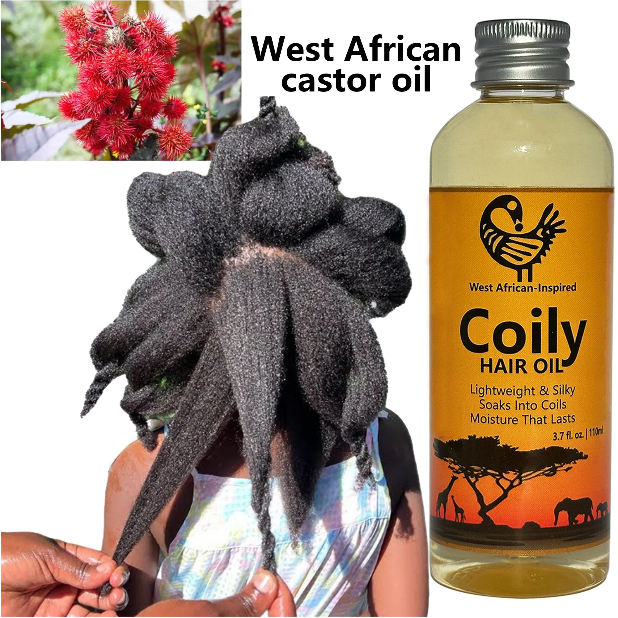 

West African Earth Wisdom for Crown Deeply Penetrating Root & Coil