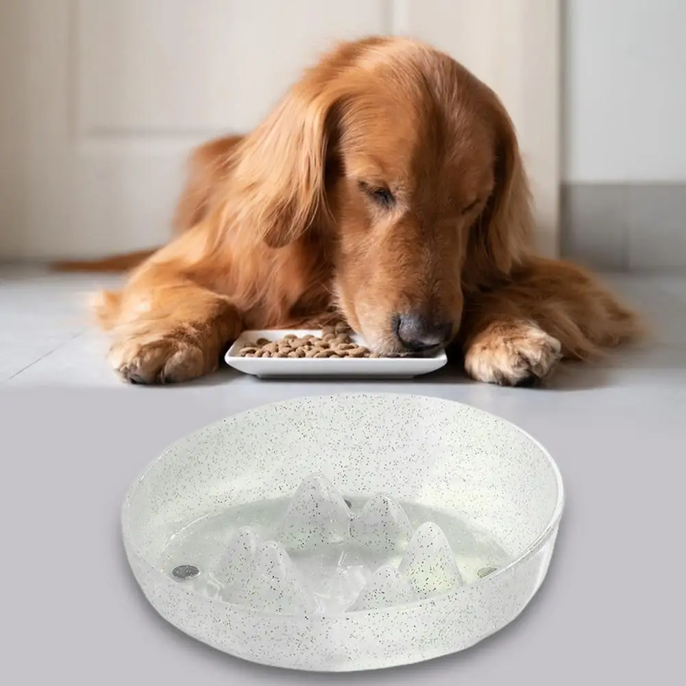 

Pet Choking Bowl Multi-use Slanted Food Holder Slow Feeder Dog Bowl Pet Supplies