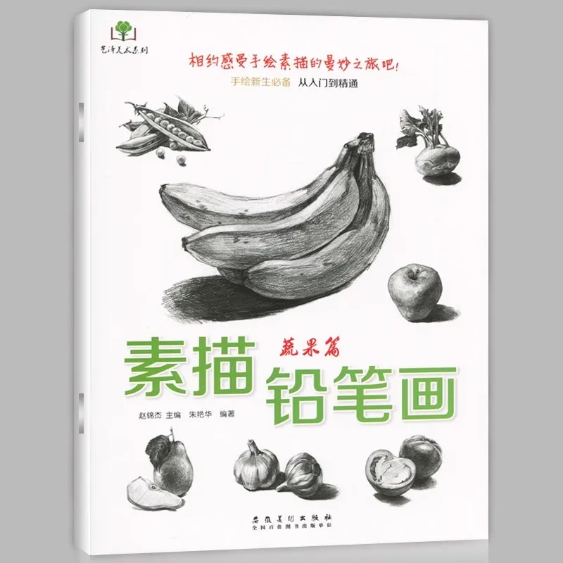 كتب رسم بالقلم الرصاص المرسومة يدويًا للطلاب - المبتدئين إلى دليل الدراسة الذاتية المخصصة في الرسم