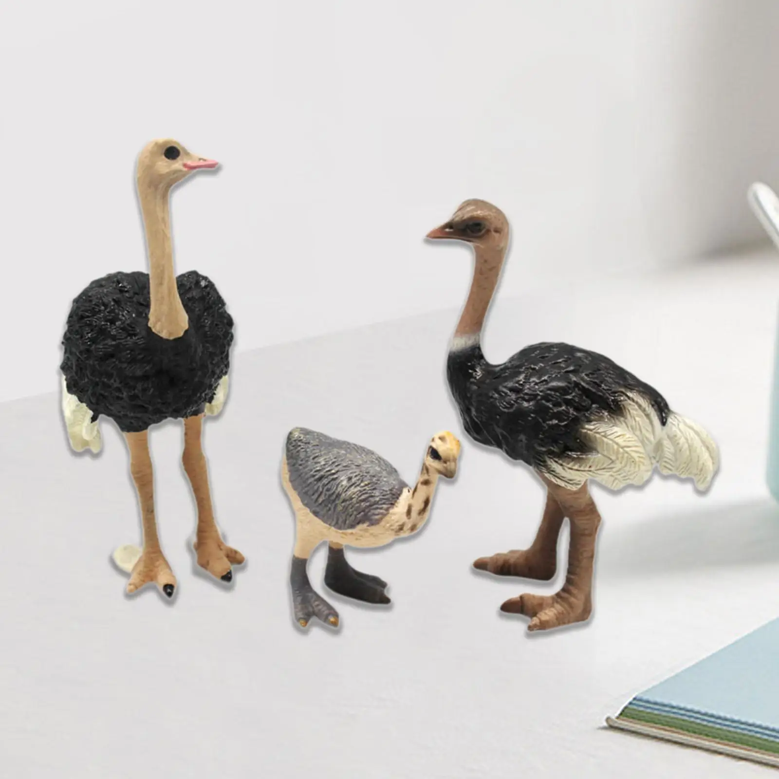 

3 Pieces Bird Model Wildlife Birds Simulation Set Table Decor for Desk Table She
