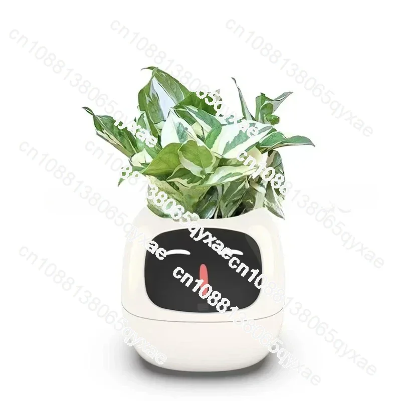 New Smart and Cute Pet Pet Pot Ivy Table Top piante verdi lascia che le tue piante espongono le emozioni