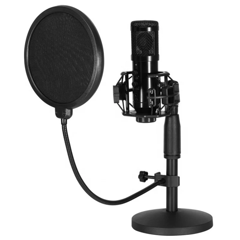 

Hot Sell Desktop Microphone Studio Karaoke Microphone