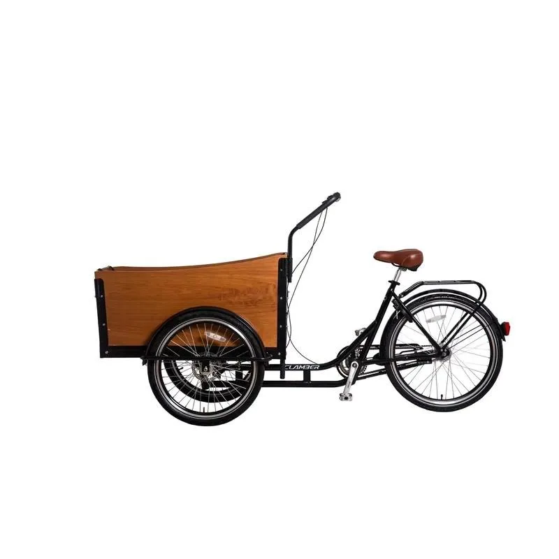 Manual Cargo Bike Steel Aluminum Leather 7 Speed 150kg Capacity Family Children Beach Park Transport Bicycle