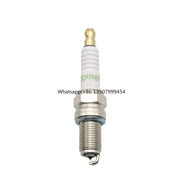 

Available Sample and 12months Warranty Spark Plug PLZK8RE-8 1884810080