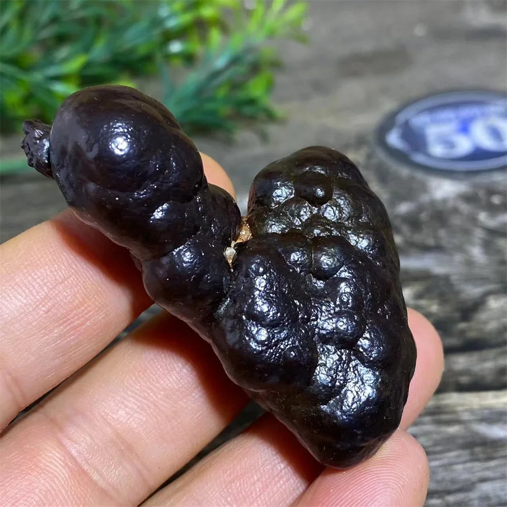 Crystal Natural Hematite Egypt Prophecy Stone Quartz Gemstones Palm Garden Minerals Specimen Wicca Spiritual Home Decoration
