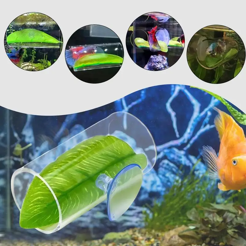 

Aquarium Betta Fish Acrylic Tube With Suction Cup Small Tunnel Hollow Design Observation Of Betta Fish Tank Decorations