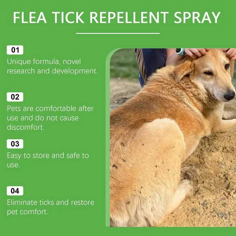 Spray anti-mouche pour animaux de compagnie, efficace, répulsif pour animaux de compagnie, araignée, chien, démontage, intérieur, sûr à utiliser pour garder la peau en bonne santé, 50ml