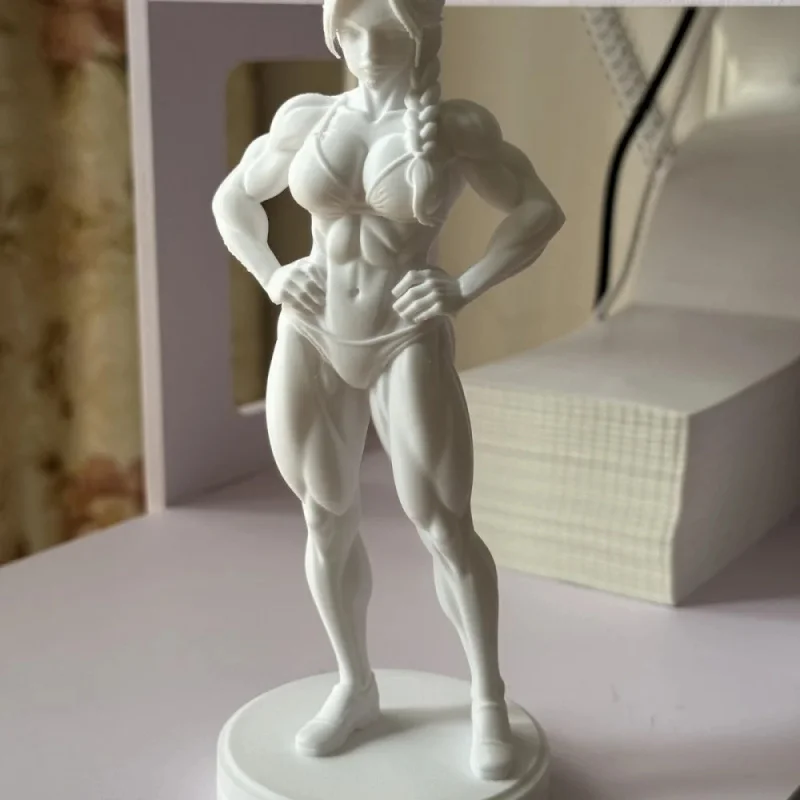Bodybuilding Figure Model Series - Muscle Female Decorative Goods for desktop Display - 3D Printed Muscles - High Quality