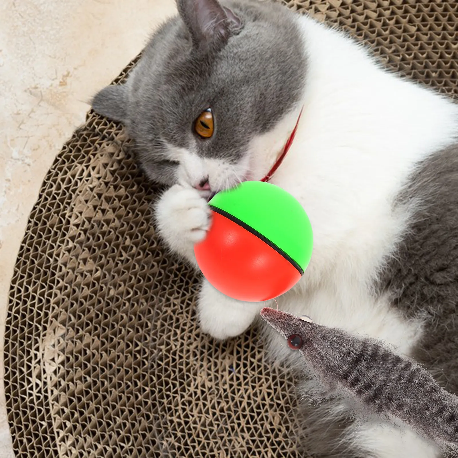2pcs-motorized-beaver-play-ball-battery-operated-rolling-ball-for-cats-puppies-dogs-random-color-interactive