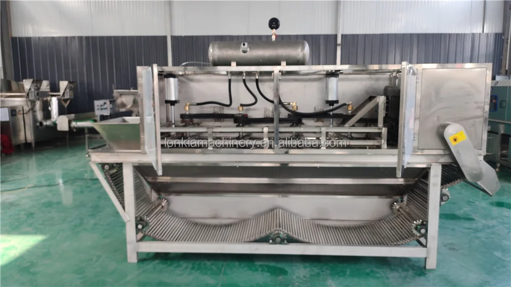 LONKIA Professional 95% Peeling Rate Commercial Used Chain Type Dry Garlic  Peeler Machine