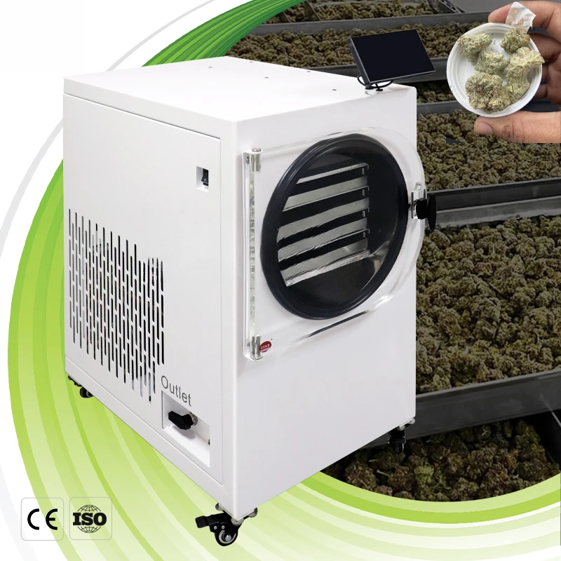 

EU Warehouse Stock 4Kg 6Kg 10Kg Small Food Mini Household Fruit Freeze Dryer