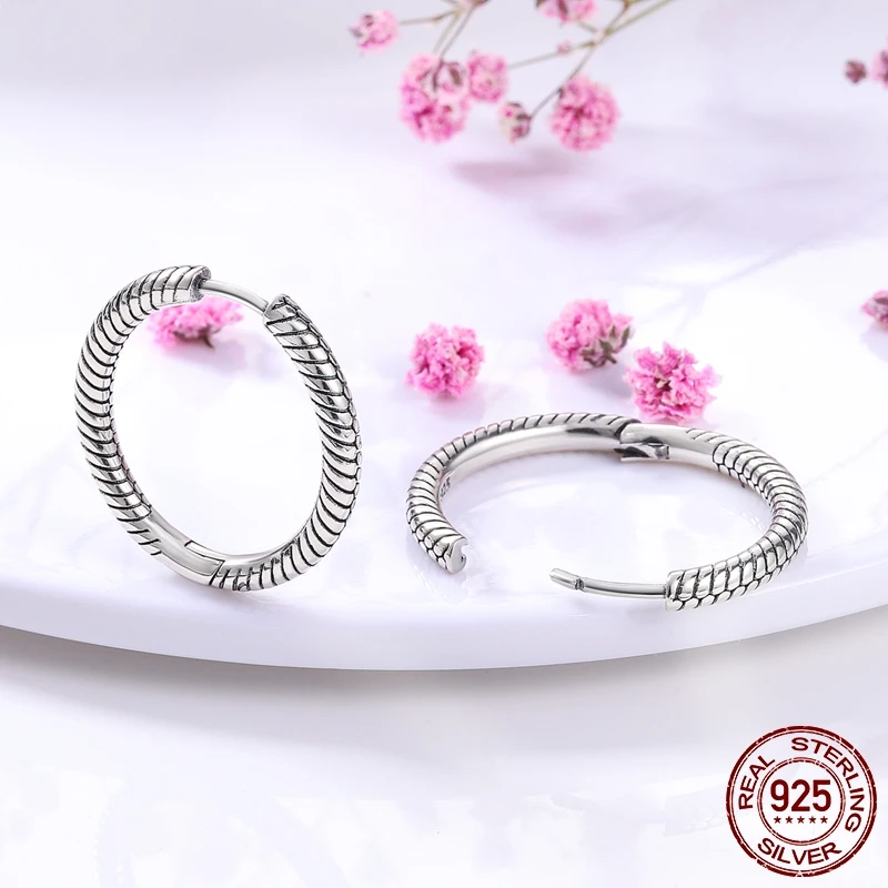 Hot 925 Sterling Silver Hoop Earrings Original Certified Silver Earrings For Girls Small Hoop Earring 2022 Ear Piercing Piercing