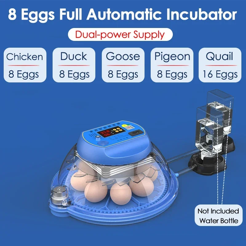 Intelligent Full Automatic Egg Turning Poultry Incubator Household Mini 8 Eggs Chicken Goose Quail Birds Brooder Hatchery