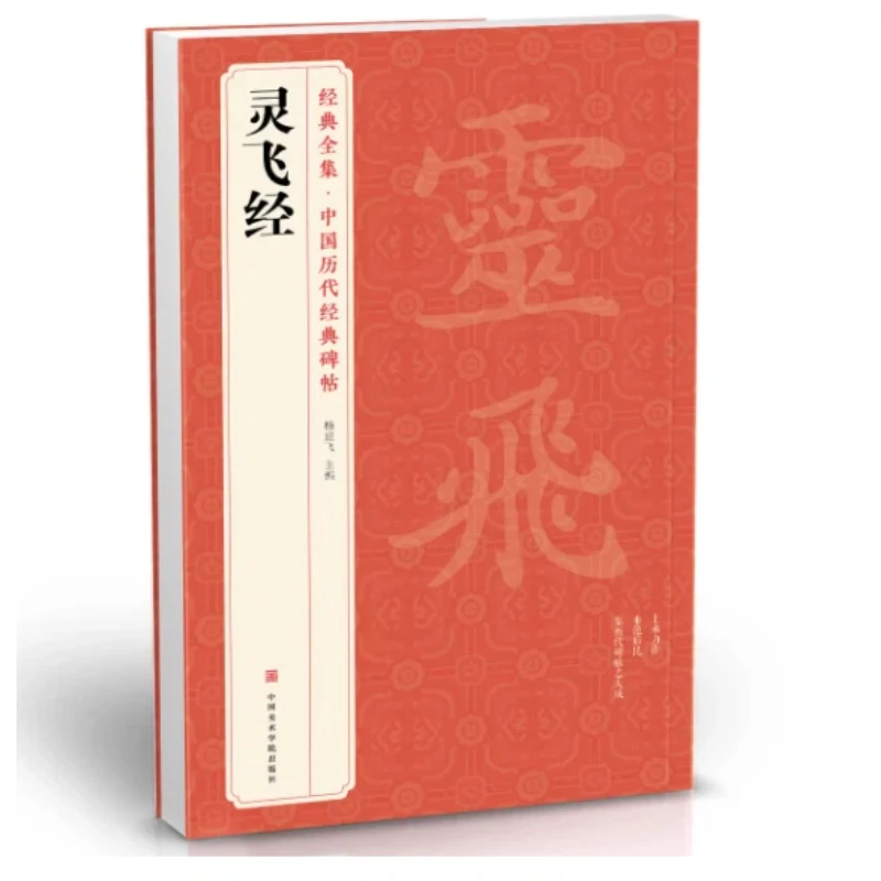 Lingfei Sutra Regular Script Brush Calligraphy Copybook Chinese Stone Inscriptions And Rubbings Enlarged Chinese Character Books