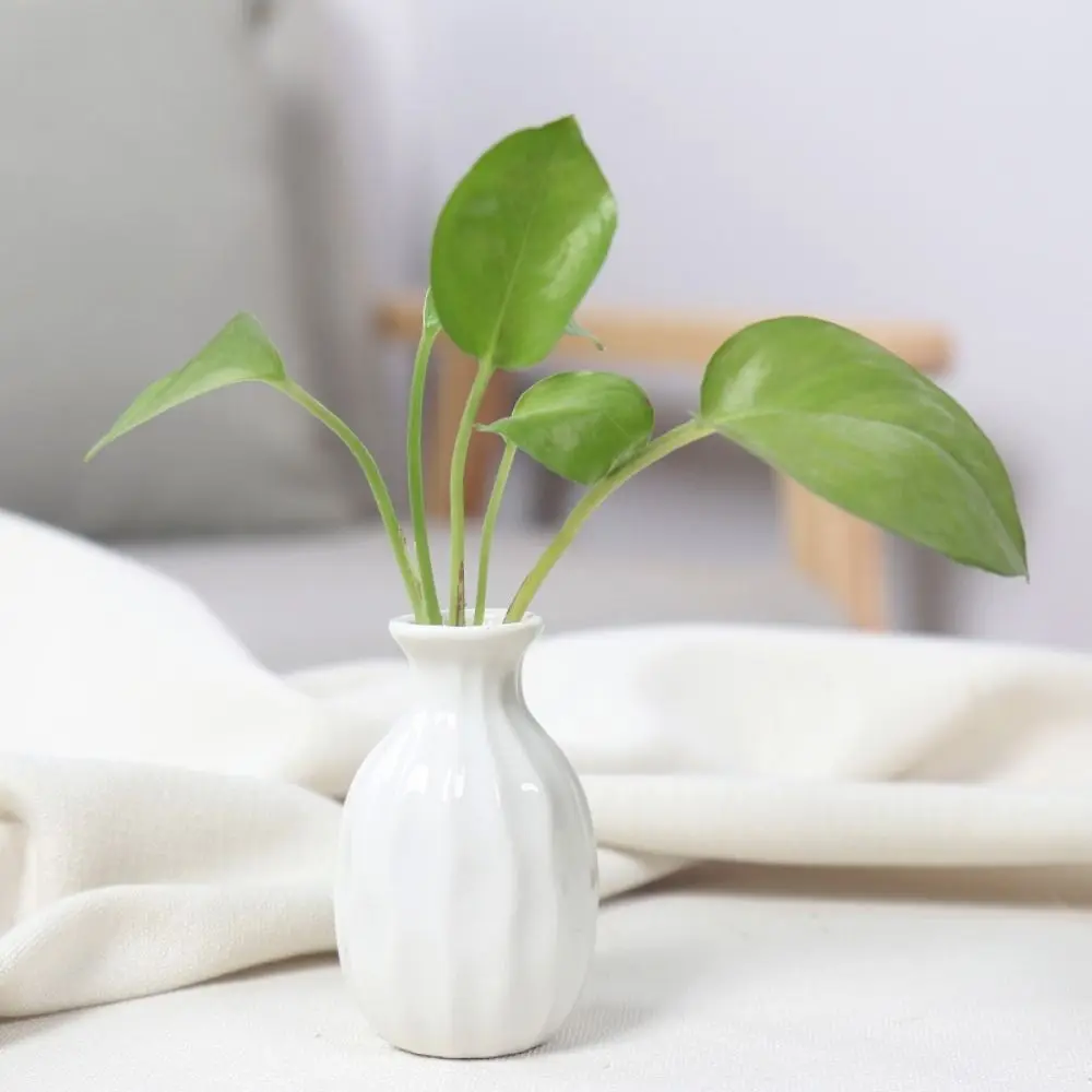 Hydroponic Design Desktop Hydroponic Vase Simple Style Cute Ceramic Samll Vase Mini Garden Plant Flowerpot Living Room