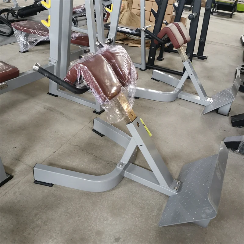 China Gym Machine Manufacturer Provide Gym Sports Equipment 45 Degree Lower Back Extension Exercise Bench