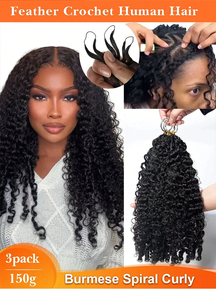 

Curly Pre Separated Feather Hook Human Hair Easy to Wear and Remove Lightweight and Reusable Natural Black Burmese Curly Human