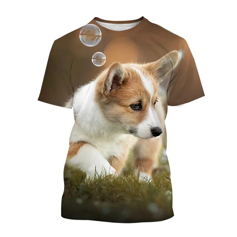 Fashion Welsh Corgi Dog 3D Printed T Shirt For Men Cute Puppy Animal Short-Sleeved Tees Harajuku Streetwear Tops T-Shirt Clothes