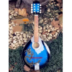 Mandolin Musical Instrument Stage Performance High Pitched Eight Stringed Western Instrument Professional Electric Box Mandolin