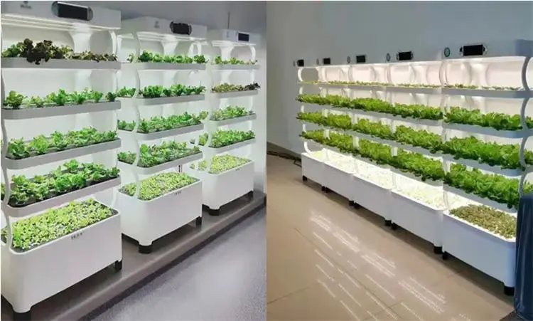 

EquipmentHome Use Hydroponic System Irrigation&hydroponics Vegetable Fruit Flower