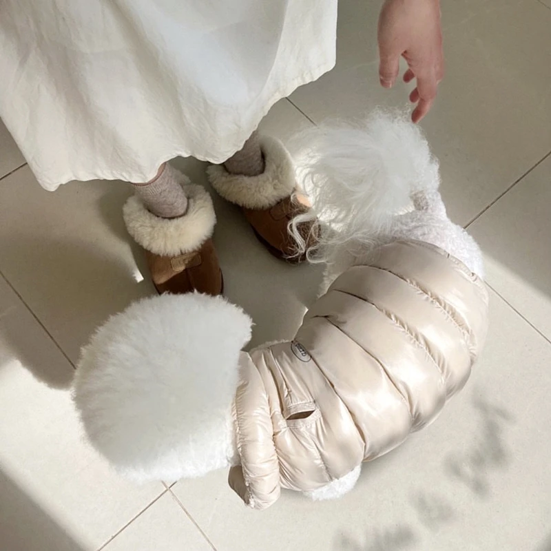 Pet Winter Cotton Clothes Warm Dog Clothes Teddy Thickened Jacket Bichon Out Solid Colour Down Coat Pet Supplies