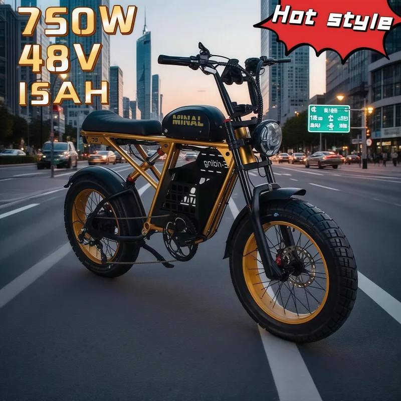 

Retro adult motorcycle 750W 48V 12AH Fat tire mountain snow mountain beach moped