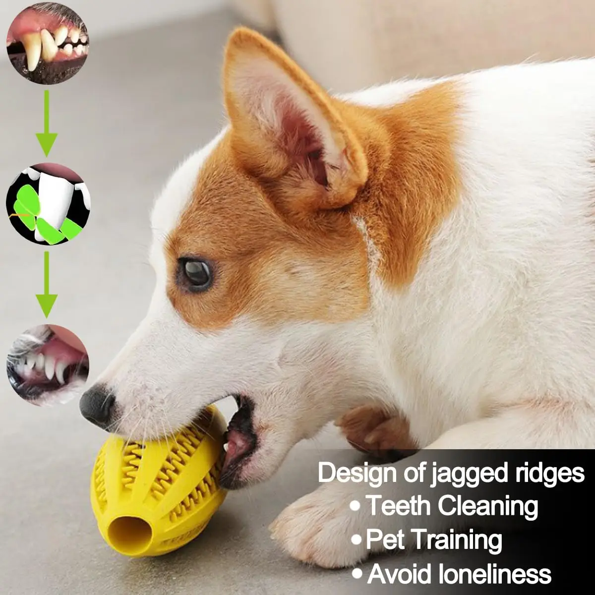 Pet Dog Chew Toys Teeth Cleaning Snack Ball Pet Dog Toy Ball Natural Rubber Super Tough Interactive Bouncy Pet Supplies