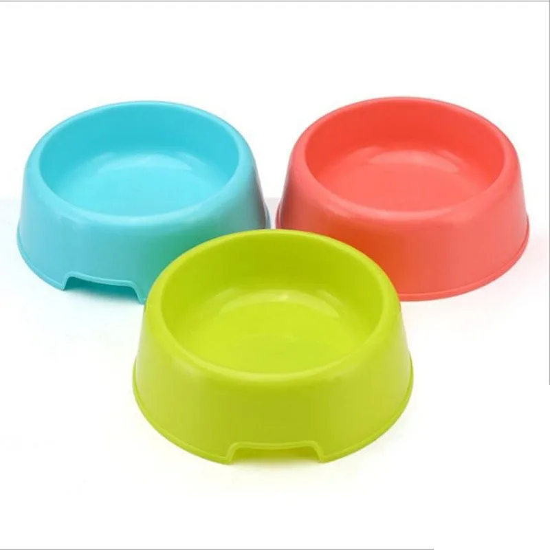 New affordable pet bowl candy-colored cat tableware bowl anti-knock over water single bowl cat food and dog food bowl