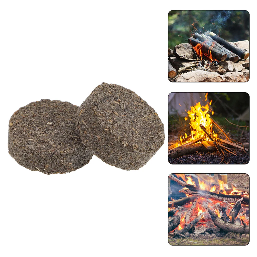 20 Pcs Charcoal Fire Accessories Dried Natural Firelighters Wood Blocks for Outdoor Camping Wax Kindling