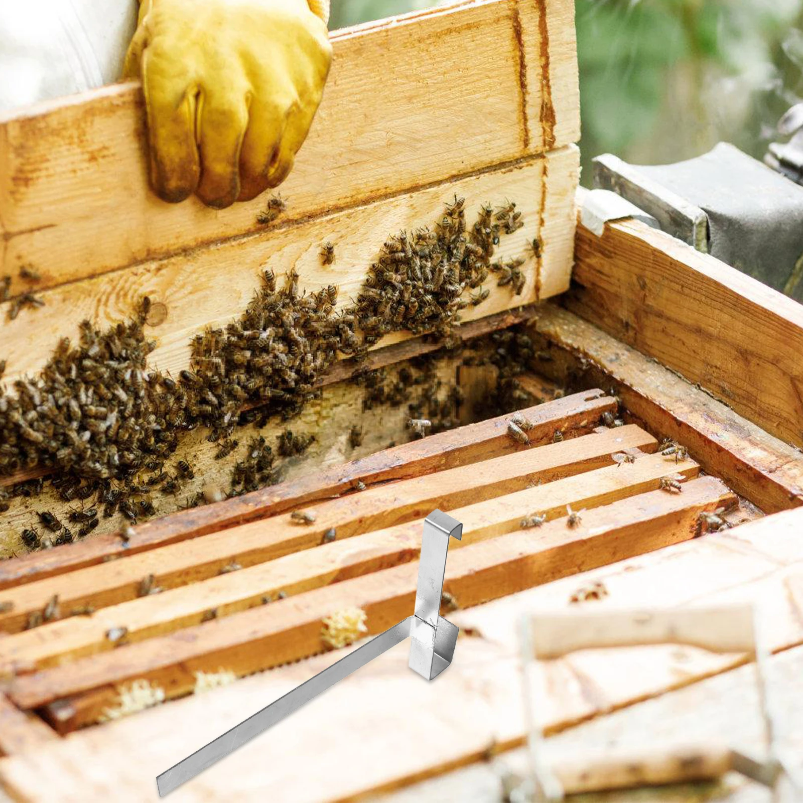 

Beekeeping Racks Professional Hive Holder Frame Shelf Durable Stainless Steel Beehive Tool Harvesting Honey Checking Practical