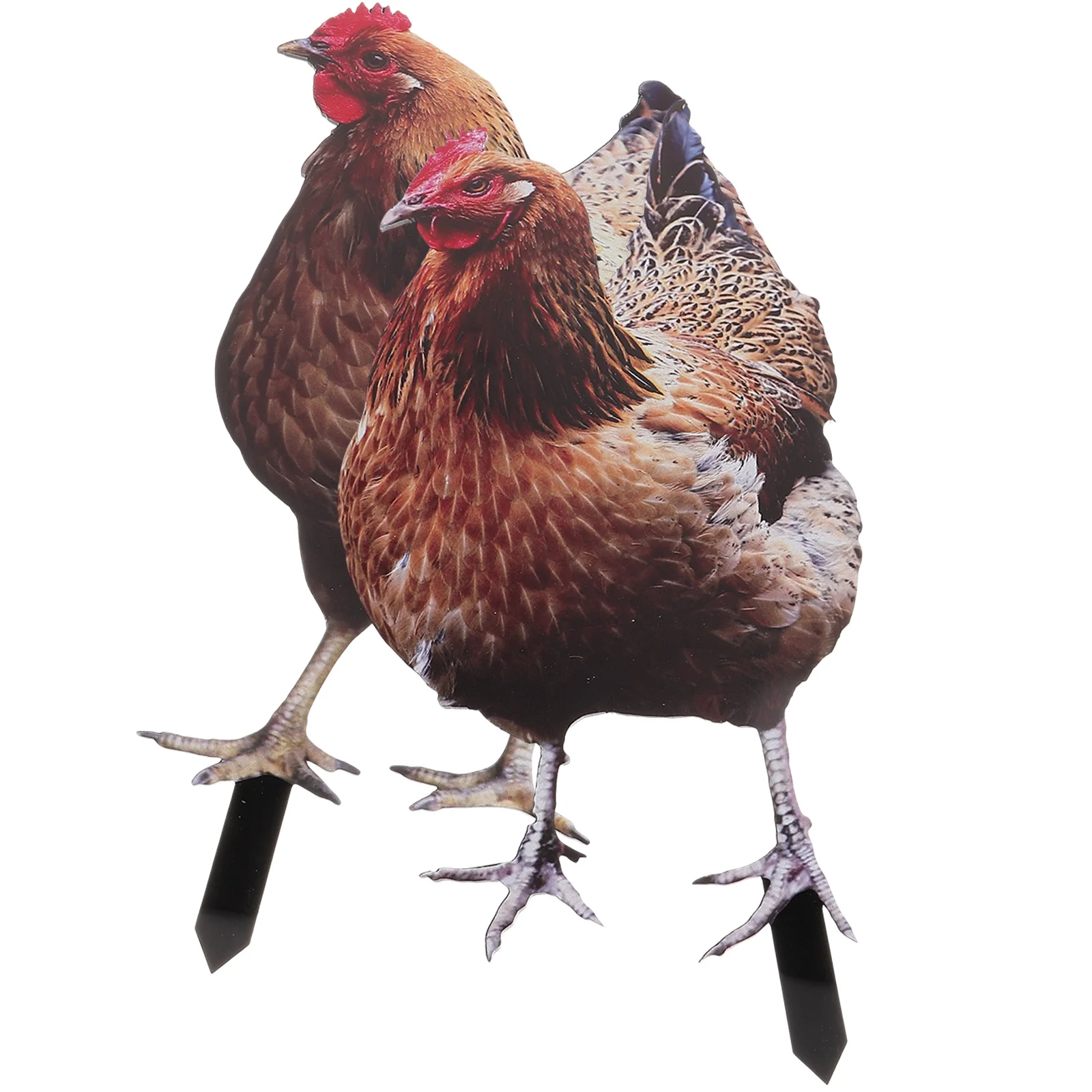 

2 Pcs Chicken Garden Decoration Animal Sign Insert Lawn Stake Acrylic Accessory