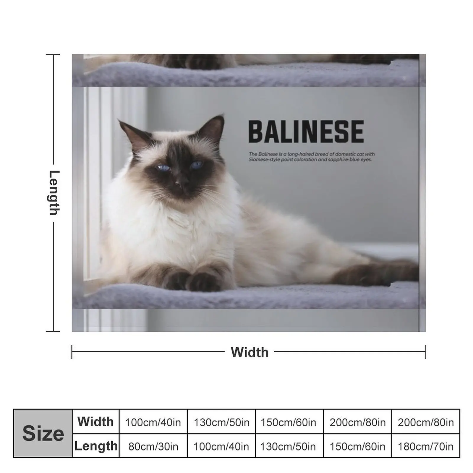 Balinese Cat Breed Throw Blanket For Decorative Sofa Giant Sofa Blankets