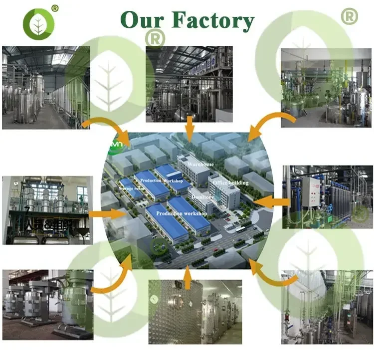 [New Arrivals]Home handicrafts soap making materials/spices Customized packaging Nettle, For Allergic Skin, Soap Making