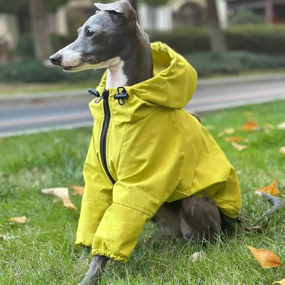 

Зимняя бархатная ветрозащитная куртка для Италии, водоотталкивающая теплая куртка для борзых, зеленая мягкая флисовая толстовка на молнии для домашних животных