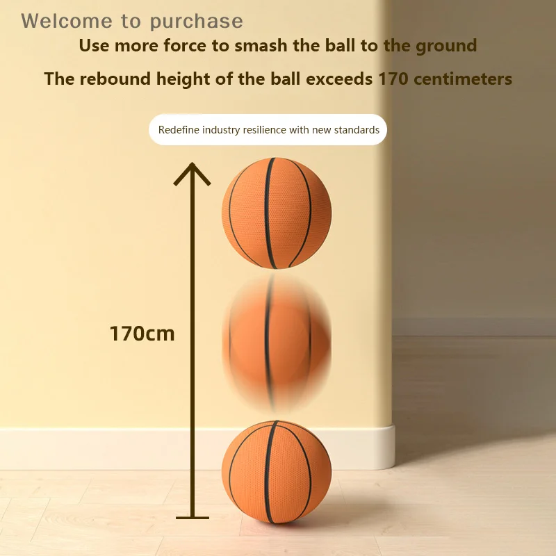 Рисунок 2 - детский прыгающий бесшумный баскетбольный