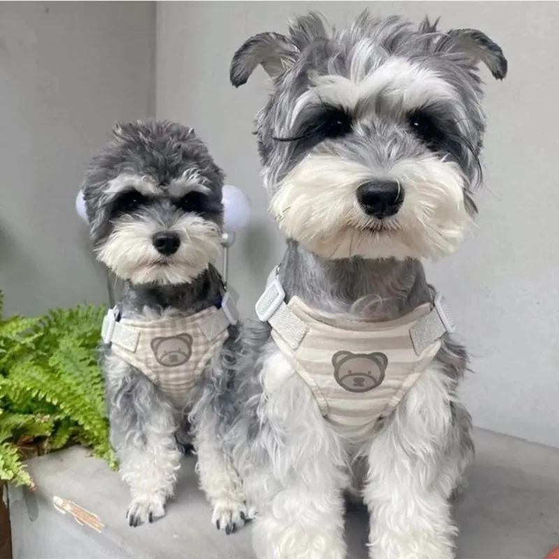 New Ins Cute Bear Series Dog Breast Collar Suit Teddy Bichon Outing Cat Chest Strap Hand Holding Rope Pet Small Dog Accessories